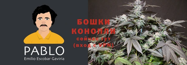 MESCALINE Верея