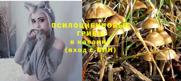герыч Верхний Тагил