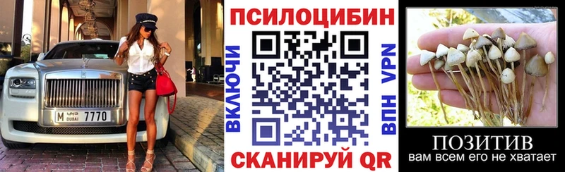 Псилоцибиновые грибы Psilocybine cubensis мориарти как зайти Старый Оскол